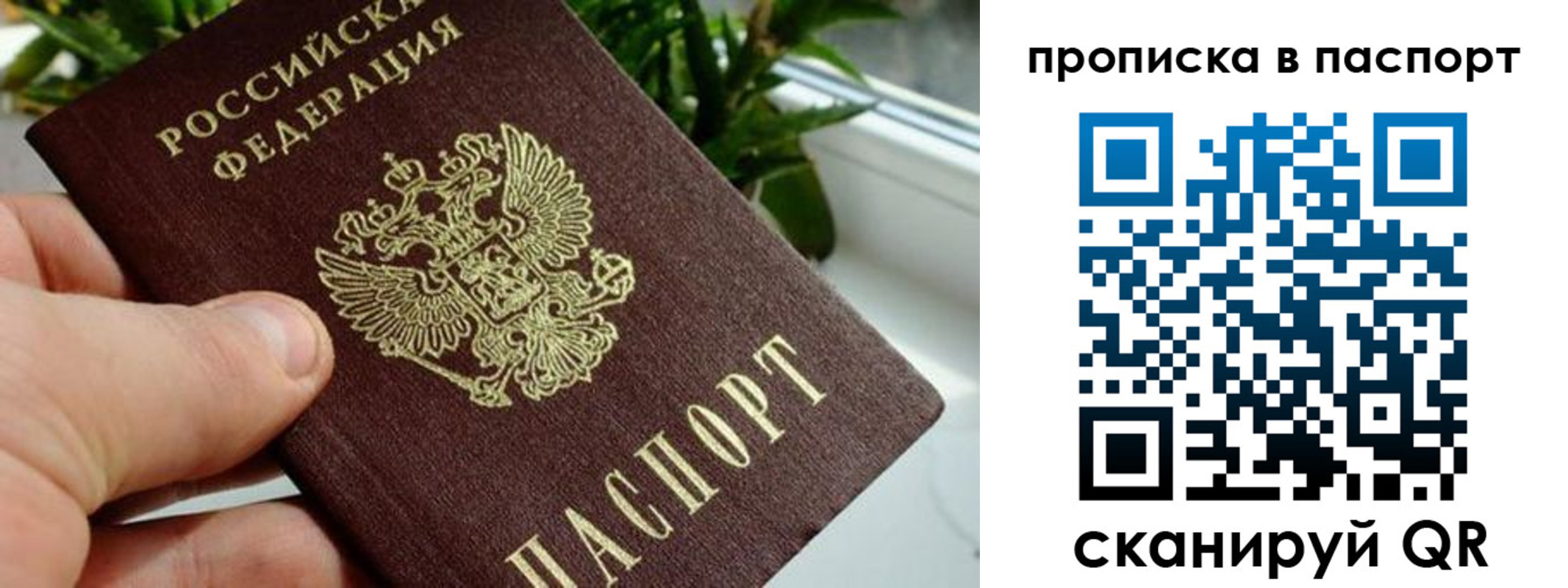 пропишу в квартире в Лениногорске